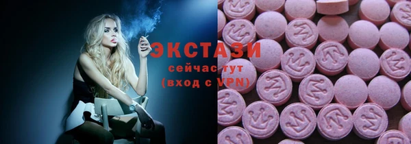 стаф Алзамай