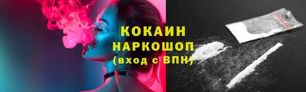 стаф Алзамай